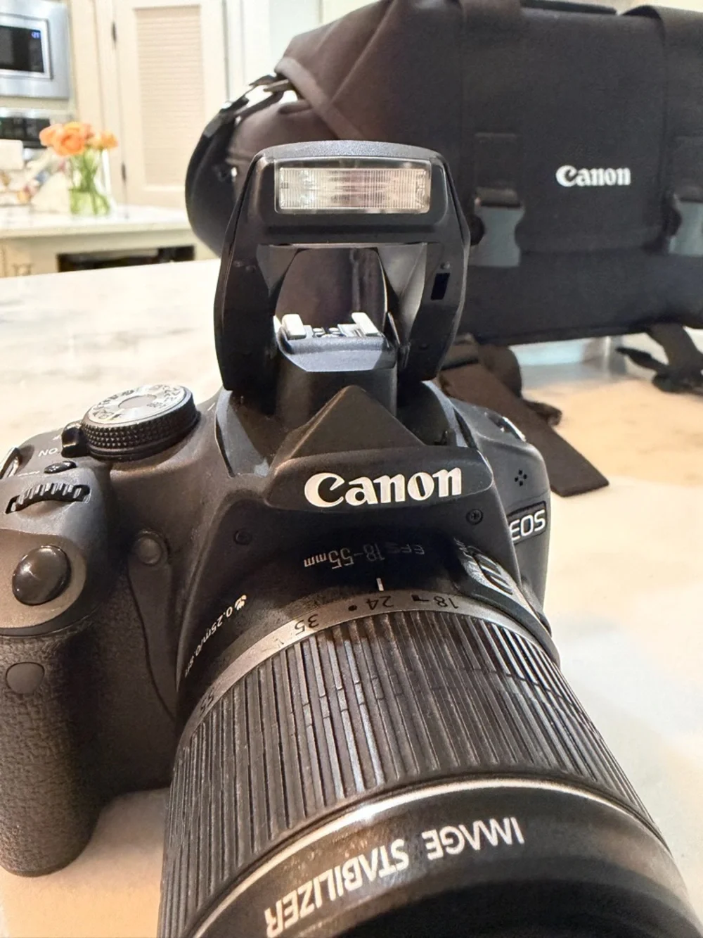 Canon EOS Rebel T1i Digital SLR Camera with 18-55mm (removable) lens + extras!